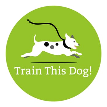 Train This Dog - Train This Dog - Improving the Relationship between dogs and their owners. - Pet Training Near Me Train This Dog - Train This Dog - Improving the Relationship between dogs and their owners. - Pet Training Near Me