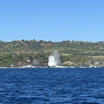 Capt Andy's - Boat Tours Near Me - Ele'ele, Hawaii Capt Andy's - Boat Tours Near Me - Ele'ele, Hawaii
