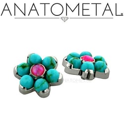 Piercings by Rob Hamilton - We offer only high quality jewelry from companies like Anatometal!