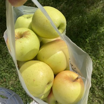 Gaver Farm - Pick Your Own Farms Near Me - Mount Airy, Maryland Gaver Farm - Pick Your Own Farms Near Me - Mount Airy, Maryland