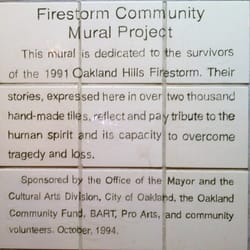 Firestorm Community Mural Project
