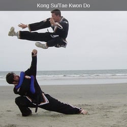 Oom Yung Doe - Flying Side Kick