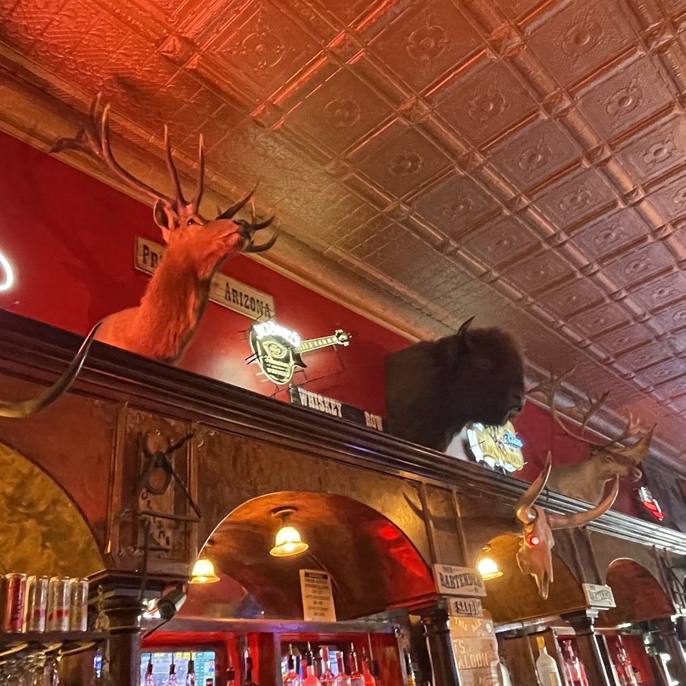Talking heads. Just kidding, they're too stuffed to talk. Talking heads. Just kidding, they're too stuffed to talk.