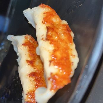 In Ramen - Pork gyoza - Ramen Near Me - Dania Beach, Florida In Ramen - Pork gyoza - Ramen Near Me - Dania Beach, Florida
