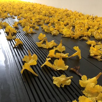 The Menil Collection - Art Museums Near Me - Houston, Texas