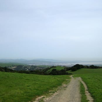Briones Regional Park - Parks Near Me - Martinez, California Briones Regional Park - Parks Near Me - Martinez, California