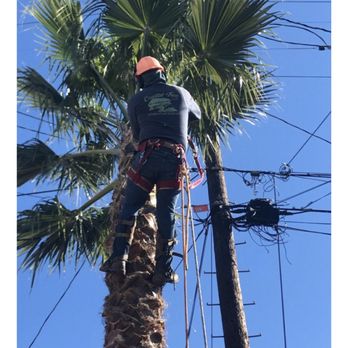 Coastal Tree Experts - Tree Services Near Me - Morro Bay, California