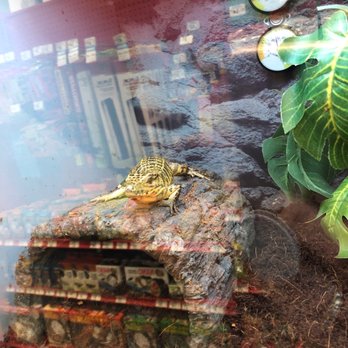 Petco - Reptiles - Pet Training Near Me - Albuquerque, New Mexico