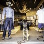 Antlers Clothing