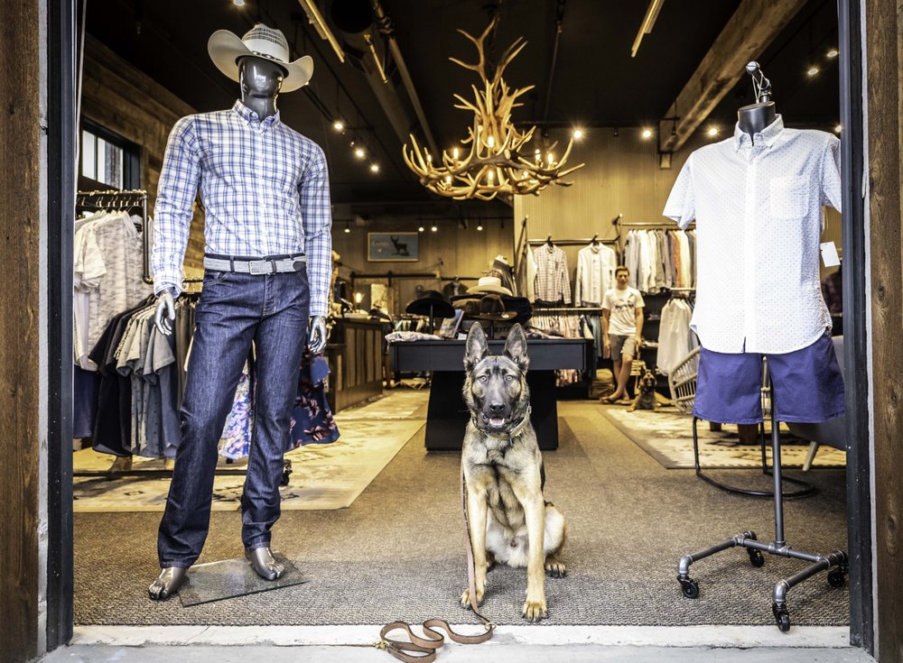 Antlers Clothing Image