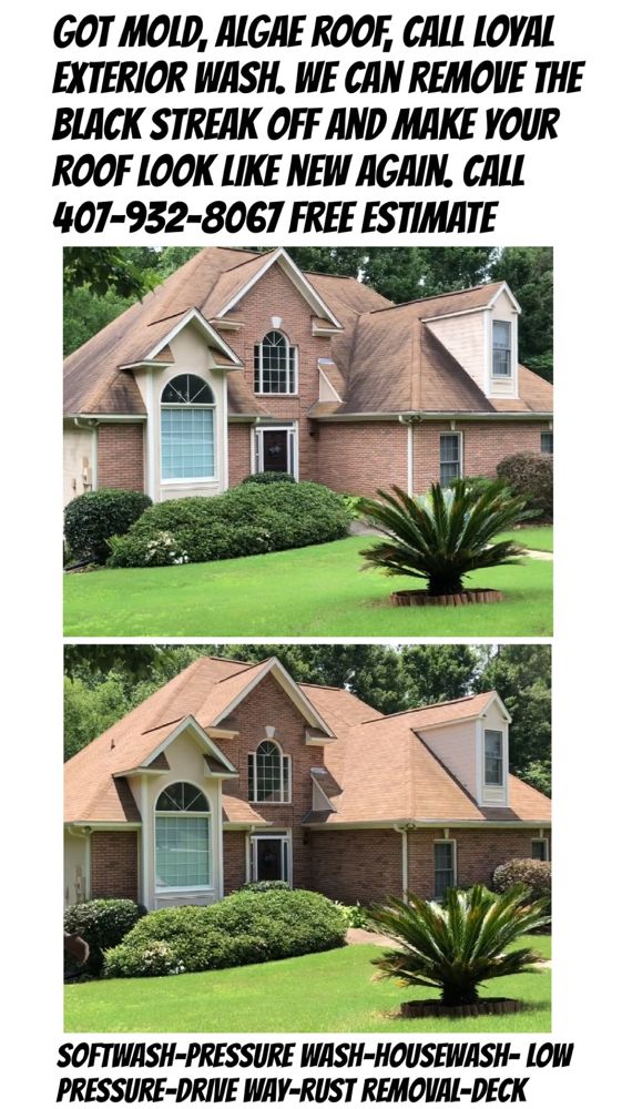 Slide of Loyal Exterior Wash