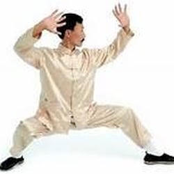 Dachengdao Kung-Fu - Grandmaster Wang Rengang