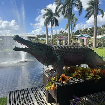 Flamingo Road Nursery - Nurseries & Gardening Near Me - Davie, Florida Flamingo Road Nursery - Nurseries & Gardening Near Me - Davie, Florida