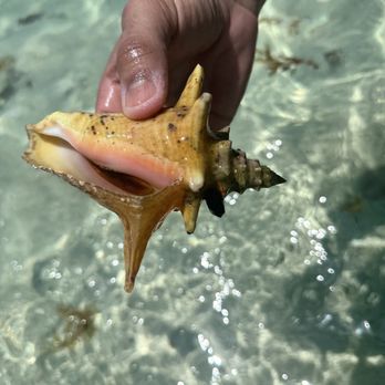 Culebra Bluewater Charters - Amazing Conch in Culebrita beach - Boat Charters Near Me