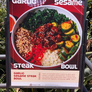 Urbane Cafe - Garlic Sesame Steak Bowl - Sandwiches Near Me - San Diego, California Urbane Cafe - Garlic Sesame Steak Bowl - Sandwiches Near Me - San Diego, California