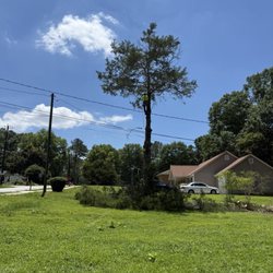 Sunny Tree Care & Landscaping