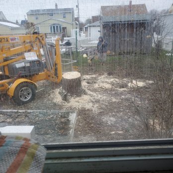 Triple A Tree Care And Landscaping - Tree Services Near Me Triple A Tree Care And Landscaping - Tree Services Near Me