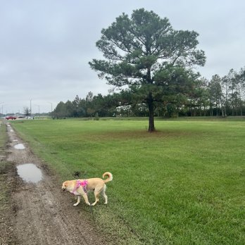 El Franco Lee Park - Parks Near Me - Houston, Texas