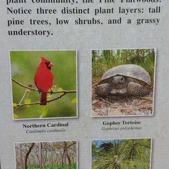 Tibet-Butler Preserve - Parks Near Me - Orlando, Florida Tibet-Butler Preserve - Parks Near Me - Orlando, Florida