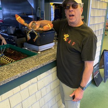 Thurston's Lobster Pound - Picking the perfect one out! - Seafood Near Me - Bernard, Maine