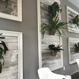 Living plants throughout Living plants throughout