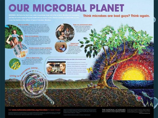 Alpha Omega Bioremediation Systems