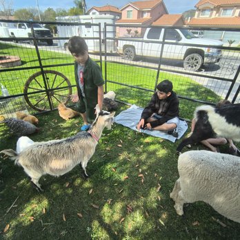 Itty Bitty Mobile Petting Zoo - Petting Zoos Near Me Itty Bitty Mobile Petting Zoo - Petting Zoos Near Me