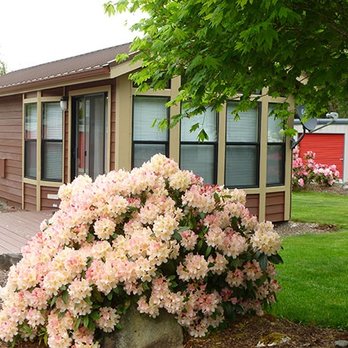 Rainier Mini Storage - Self Storage Near Me - Rainier, Washington Rainier Mini Storage - Self Storage Near Me - Rainier, Washington