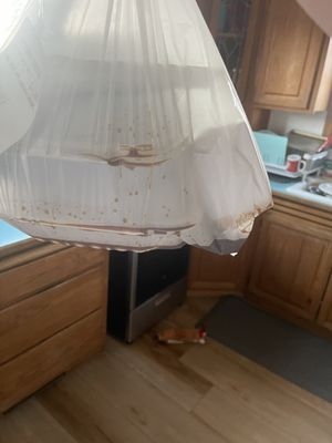 Happiness Chinese Restaurant by null