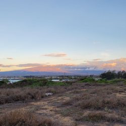 Nisei Veterans Memorial Center - View from the park
