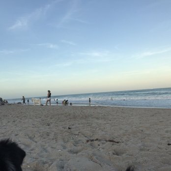 Canova Dog Beach - Dog Parks Near Me - Indialantic, Florida