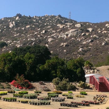 Oasis Water Efficient Gardens - Nurseries & Gardening Near Me - Escondido, California