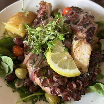 Hellenic - Grilled Octopus - Greek Near Me - Coral Springs, Florida Hellenic - Grilled Octopus - Greek Near Me - Coral Springs, Florida