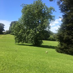 Monte Cecilia Park