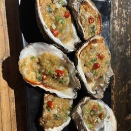 Oysters