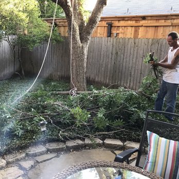 Total Unique Tree Service - Tree Services Near Me - Plano, Texas Total Unique Tree Service - Tree Services Near Me - Plano, Texas