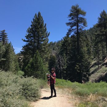 Buckhorn Campground - Campgrounds Near Me - Arcadia, California