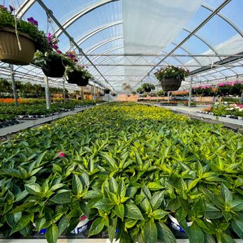 Ritchie Feed and Seed - Nurseries & Gardening Near Me - Richmond, Ontario Ritchie Feed and Seed - Nurseries & Gardening Near Me - Richmond, Ontario