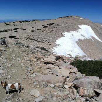 Mount San Gorgonio - Mid July 2011 at the top, - Hiking Near Me Mount San Gorgonio - Mid July 2011 at the top, - Hiking Near Me