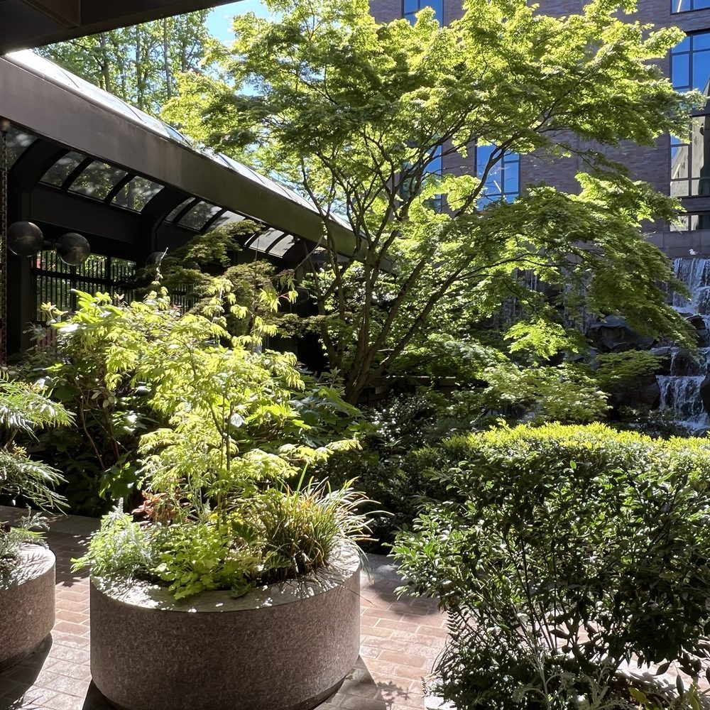 Waterfall Garden - Parks Near Me - Seattle, Washington Waterfall Garden - Parks Near Me - Seattle, Washington