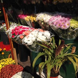 Glober Market