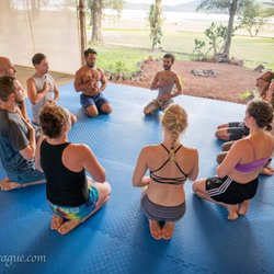 BASA Yoga - Online Live Classes, Online Private Yoga Therapy, Yoga Teacher Training, Workshops, and more.