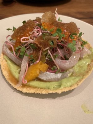 Ceviche Project by null Ceviche Project by null