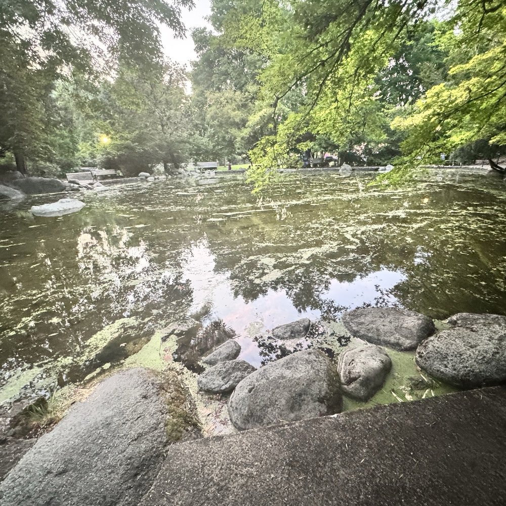 Lithia Park - Parks Near Me - Ashland, Oregon Lithia Park - Parks Near Me - Ashland, Oregon