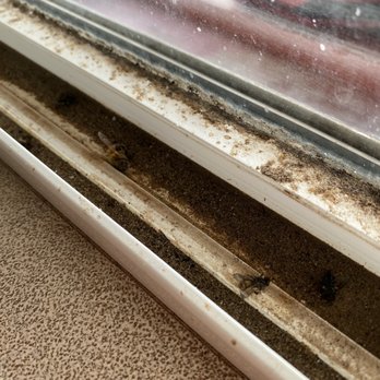 Valley Motel - The windowsill has crusty dirt and dead flies everywhere. - Hotels Near Me - Muleshoe, Texas