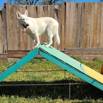 Guaranteed Dog Training - Pet Training Near Me - Stockton, California Guaranteed Dog Training - Pet Training Near Me - Stockton, California