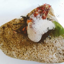 La Malvaloca - Tapa ruta del atun 2016