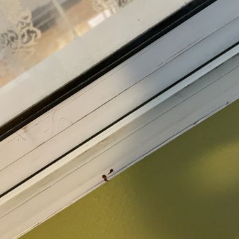 Total Home Detail - No clean - Home Cleaning Near Me Total Home Detail - No clean - Home Cleaning Near Me