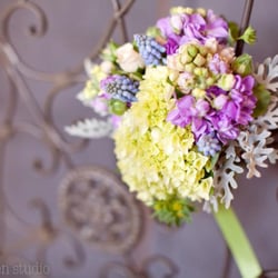 Saffron & Grey - Mad Chicken Studio Photography