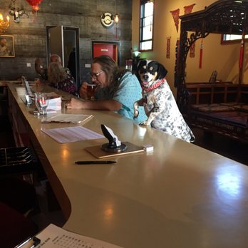 Mei Wah Beer Room - Even the dogs love the beer here! - Beer Bar Near Me - Isleton, California